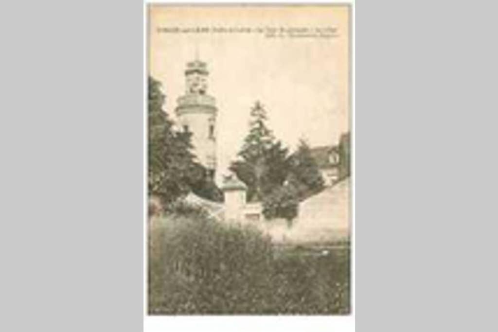 Le Logis De La Tour Saint Jacques Villa Chouzé-sur-Loire Eksteriør billede