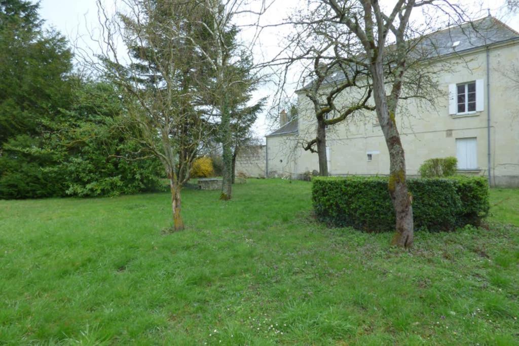 Le Logis De La Tour Saint Jacques Villa Chouzé-sur-Loire Eksteriør billede