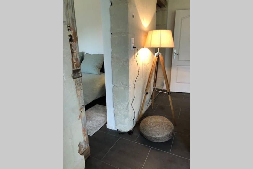 Le Logis De La Tour Saint Jacques Villa Chouzé-sur-Loire Eksteriør billede